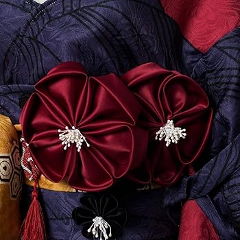 葛飾北斎第二臨コスプレ衣装 Amazon.co.jp: Fate/Grand Order コスプレ 葛飾北斎 霊基再臨第